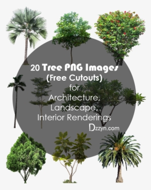 02- 20 Tree Png Images For Architecture, Landscape, - Tree Landscape Architecture #29597