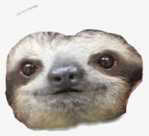 Whatchu Doin #200005