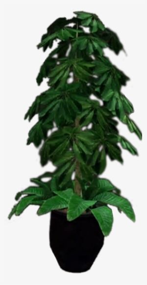 Tall Bushy Plant - Potted Plant #200201