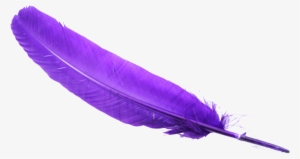 Feather Png - Clipart Purple Pen Transparent #200525