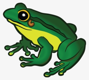 Frog Png Image Background - Frog Clipart #200614