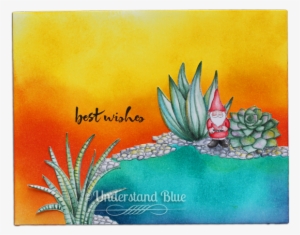 My Sister Just Added A Little Pond In Her Backyard - Cactus #200616