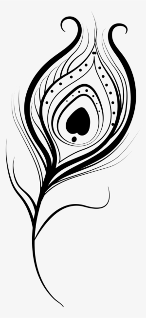 Feather Peacock Vector Isolated Transparent Image - Feather #200905