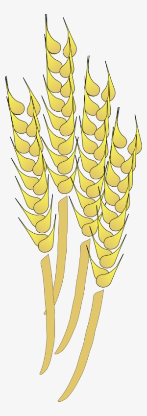 How To Set Use Wheat Clipart #201457