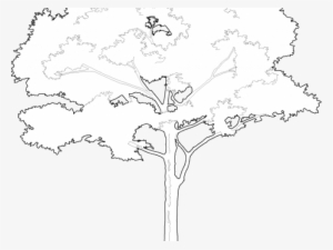 Free Tree Vectors - Illustration #201689