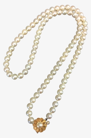Pearl K Gold White Freshwater Cultured - Pearls Necklace Png #202086