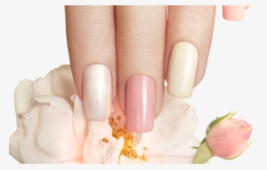 Nails1b - Nails Png #202219