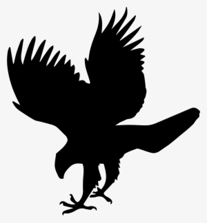 Bird Png Transparent Bird Png Image Free Download Page 14 Pngkey