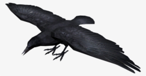 Dead Crow Png Image Freeuse Download - Crow 3d Png #202372
