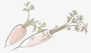 Food - Illustration #202627