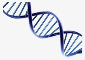 Dna Transparent Background - Psa Prostate Cancer Research #202730