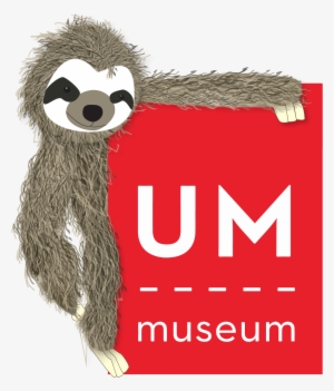 This The Library Sloth - University Of Mississippi Museum #202911