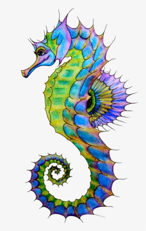 Seahorse Png Hd - Seahorse Png #203156