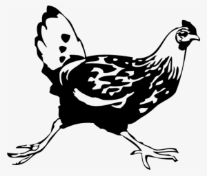 Chicken - Running Chicken Drawing #203228