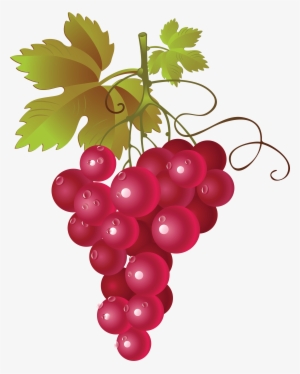 Grape Thirty - Red Grape Vector Png #203757