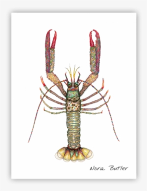 Shrimp- Nora Butlers Designs Butler, Limited Edition - American Lobster #204343
