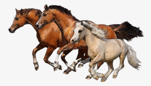 Download Png Image Report - Running Horses Png #204933