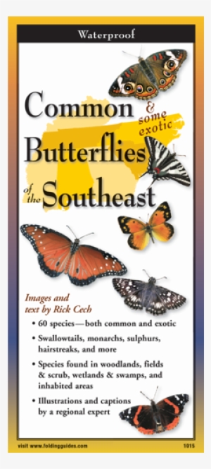 Common Butterflies Of The Southeast Folding Guide #205423