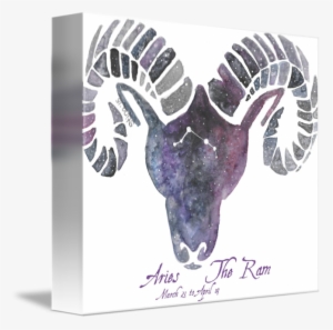 "aries The Ram" By Stina Waters, // The Constellation - Aries Ram #205526
