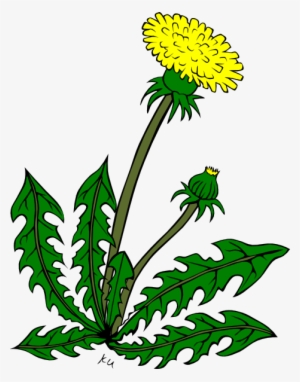 Clip Arts Related To - Clip Art Of Weeds #205848