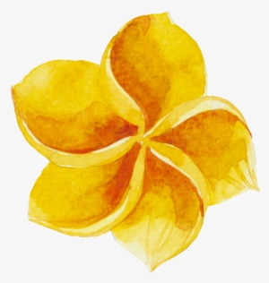 Watercolour Watercolor Sticker Ftestickers Flowers #206633