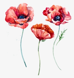 Watercolor #206832 Watercolor #206832