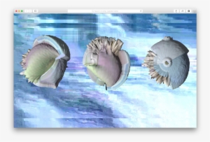 Sofia - Sophiebrags@gmail - Com - - Shell #207023