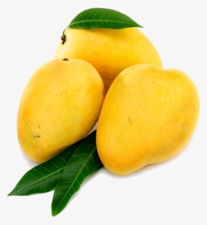 Yellow Mango Png #207211