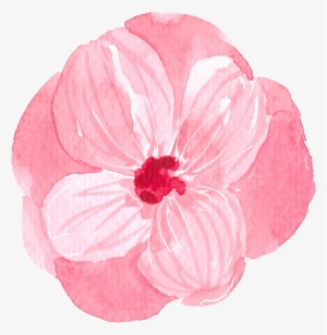 Thank You For Contacting Us - Flowering Dogwood #207946