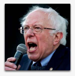 I See That We Now Have Socialists Coming Out Of The - Bernie Sanders #208074