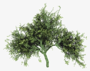 Source - - Art #208258