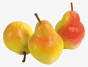 Fruits - Pear Transparent #208441