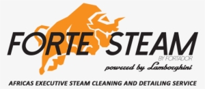 Steam #208877 Steam #208877