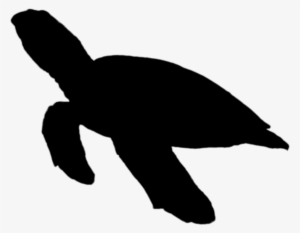Sillhoute Turtle Png #209033
