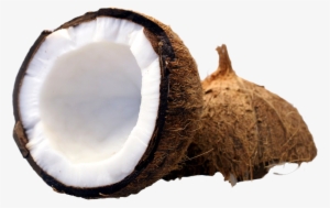 Coconut - Coconut Png #209420