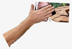 Flex Seal Can Fix Everything Even Laser Beam - Plywood #209469