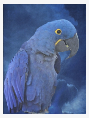 Hyacinth Macaw Cotton Linen Wall Tapestry - Hyacinth Macaw Budget Tote Bag, Adult Unisex, Natural #209471