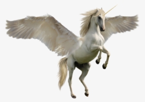 Unicorn Png #209744