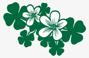 “what's Best For The Merworld Is Eliminating This Sea - Hawaiian Hibiscus #209851