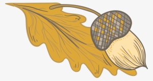 Acorn Drawing Download - Download #209901