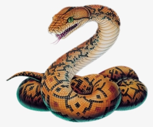 Snake Clipart Boa Constrictor #2000077