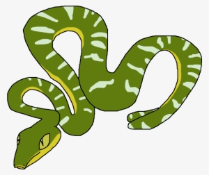 Emerald Tree Boa - Emerald Tree Boa Clipart #2000257