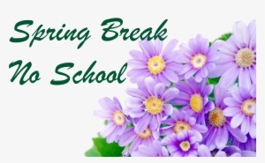Spring Break #2000801 Spring Break #2000801