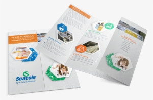 Seacole Gate Fold Brochure Mockup - Brochure Mockup Png #2002478