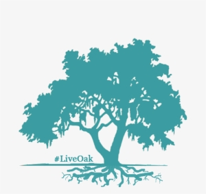 Active Full Lifecycle Investing - Live Oak Tree Silhouette #2002671