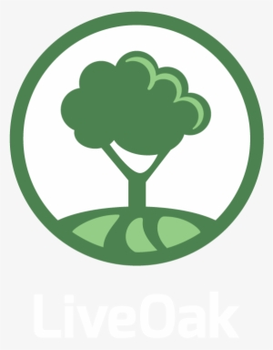 Oak Icon Png #2002772