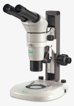 Home - Stereo Microscopes #2003329