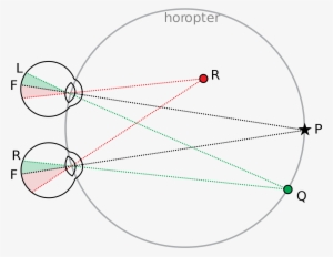 Open - Binocular Vision #2003658
