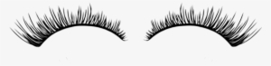 Image Library Download Popular And Trending Lashes - Lash Facts #2003949