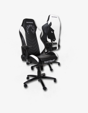 Team Liquid - Chair #2004370